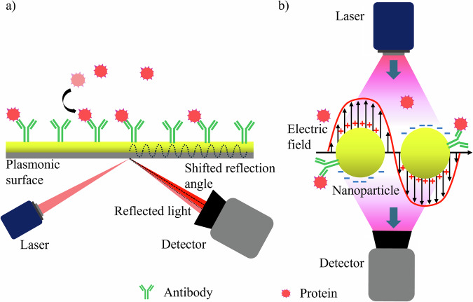 Optical biosensors for diagnosing neurodegenerative diseases.