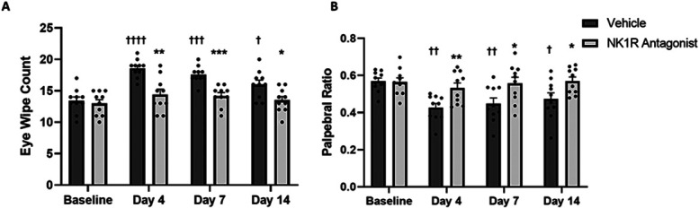 Topical neurokinin-1 receptor antagonism ameliorates ocular pain and prevents corneal nerve degeneration in an animal model of dry eye disease.