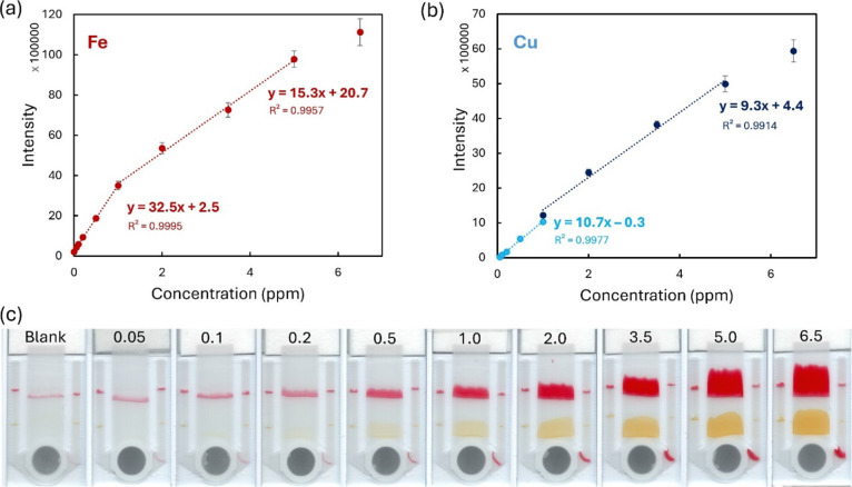Real-World Implementation of Particle-Based Microfluidics: On-Spot Test for Iron and Copper Ions in Water.