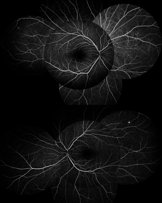 Abstract Image