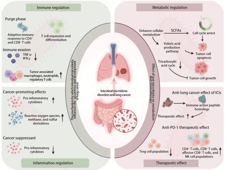 [Intestinal Flora Dysregulation and Lung Cancer:  Mechanism Analysis and Clinical Application].
