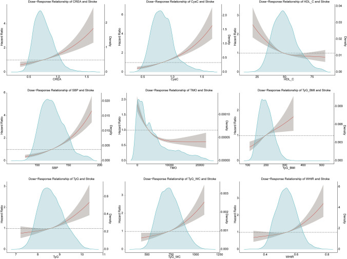 A comprehensive analysis of stroke risk factors and development of a predictive model using machine learning approaches.