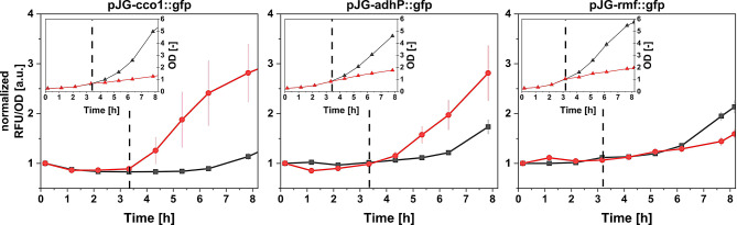 Bioprocess exploitation of microaerobic auto-induction using the example of rhamnolipid biosynthesis in Pseudomonas putida KT2440.