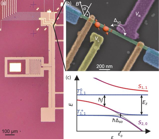 A dephasing sweet spot with enhanced dipolar coupling.