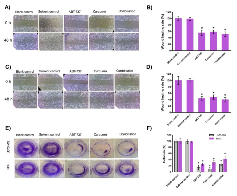 Anti-tumor Effects of Curcumin and ABT-737 in Combination Therapy for Glioblastoma in Vivo.