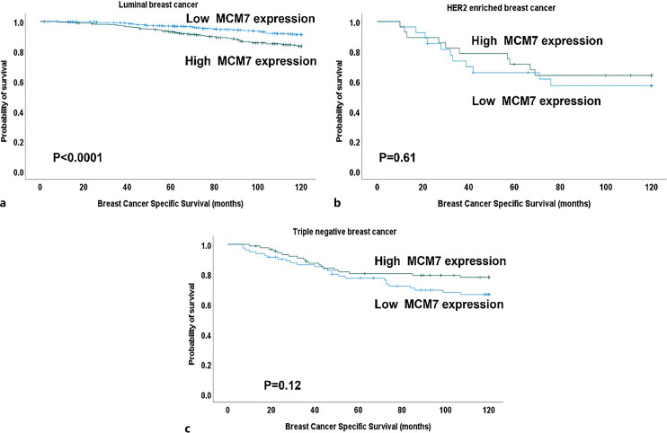 Prognostic and Clinical Significance of the Proliferation Marker MCM7 in Breast Cancer.