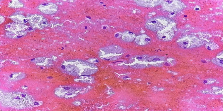 Abstract Image