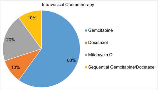 Saudi urologists' treatment pattern for high-risk <i>Bacillus</i> Calmette-Guérin naïve and <i>Bacillus</i> Calmette-Guérin unresponsive nonmuscle invasive bladder cancer.