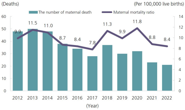 Trends, statistics, and policy recommendations on maternal, fetal, and infant mortality before and after COVID-19: a review of the past decade (2012-2022) based on national health information data.