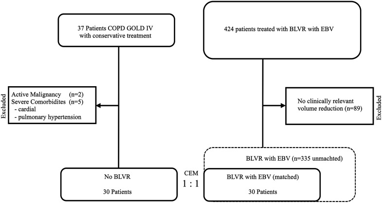 Comparative analysis of pulmonary function decline in patients undergoing bronchoscopic lung volume reduction with endobronchial valves versus conservative treatment in emphysema management: A longitudinal coarsened exact matched analysis.