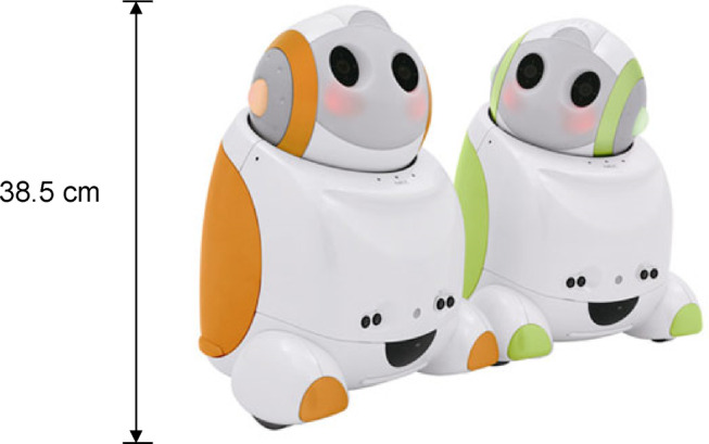 Inter- and intra-rater reliability of cognitive assessment conducted by assistive robot for older adults living in the community: a preliminary study.