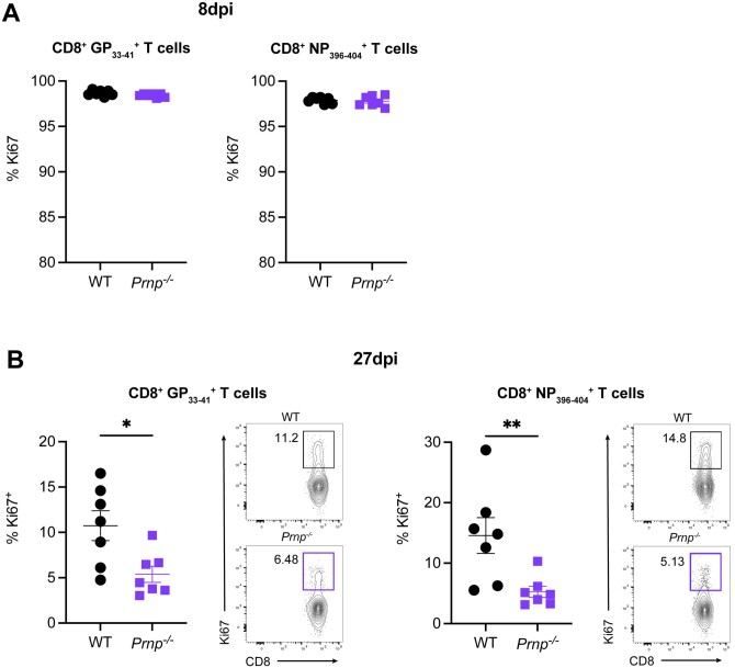 Prion protein modulation of virus-specific T cell differentiation and function during acute viral infection.