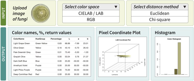 PUPMCR: an R package for image-based identification of color based on Rayner's (1970) terminology and known fungal pigments.