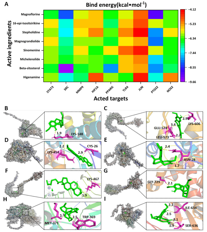 Network Pharmacology Suggests Mechanisms for Therapeutic Effects of <i>Caulis Sinomenii</i> on Avian Gout.