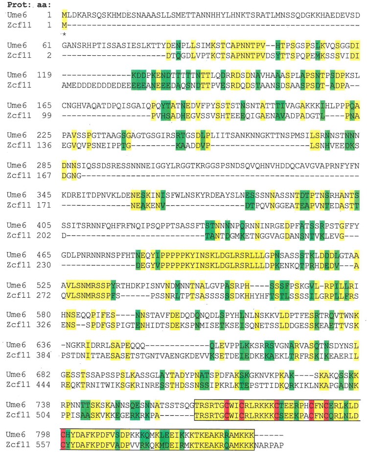 Regulation of meiotic gene expression is functional in the human fungal pathogen Candida glabrata.