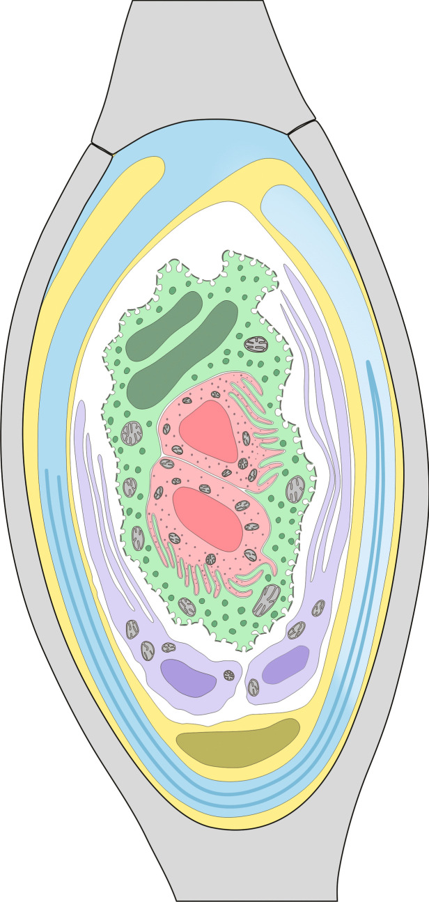 Abstract Image