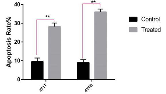 Anti-cancer effects of frankincense methanolic extract on brain metastatic breast cancer cells.