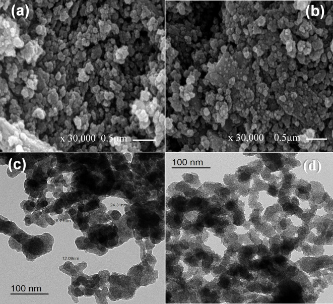 Green magnetically separable molluscicide Ba-Ce-Cu ferrite/TiO<sub>2</sub> nanocomposite for controlling terrestrial gastropods Monacha Cartusiana.