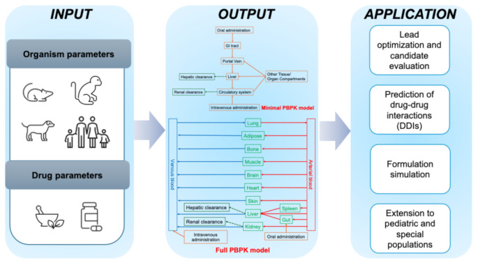 Application of Physiologically-Based Pharmacokinetic (PBPK) Model in Drug Development and in Dietary Phytochemicals.