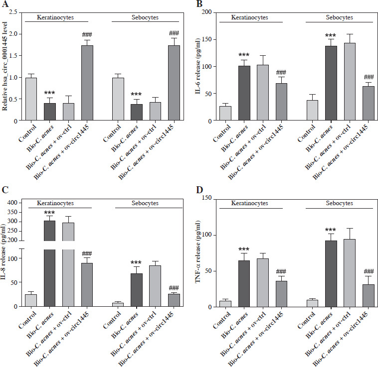 Hsa_circ_0001445 regulates acne inflammation <i>via</i> sponging miR-1298-5p targeting ESR1.
