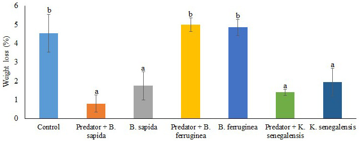 Effect of botanical powders and the assassin bug, <i>Alloeocranum biannulipes</i> Mont. and Sign. (Hemiptera: Reduviidae) against <i>Dinoderus porcellus</i> Lesne (Coleoptera: Bostrichidae) infesting yam chips.