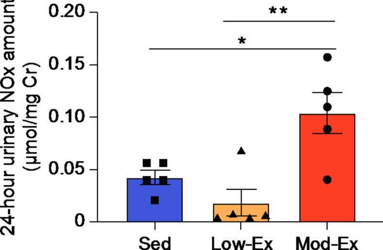 Decreased nitric oxide production is a novel therapeutic target for salt-induced nocturnal polyuria in aging.