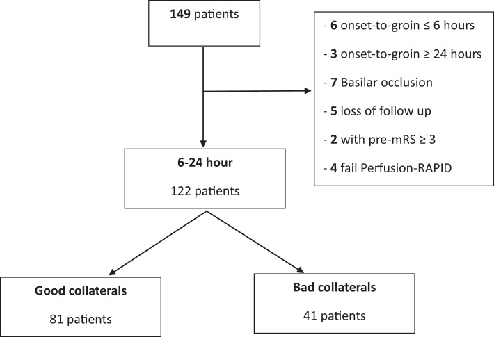 Safety and Efficacy of Thrombectomy in Vietnamese Stroke Patients Selected through Perfusion Imaging with an Onset Time between 6 and 24 Hours.