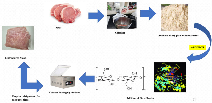 From Farms to Labs: The New Trend of Sustainable Meat Alternatives.
