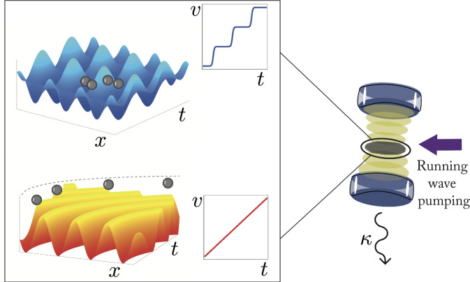 Dissipation-induced non-equilibrium phases with temporal and spatial order.