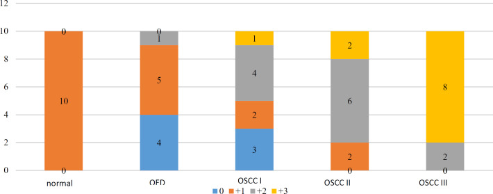Evaluation of Cytokeratin 19 Expression in Oral Carcinogenesis.