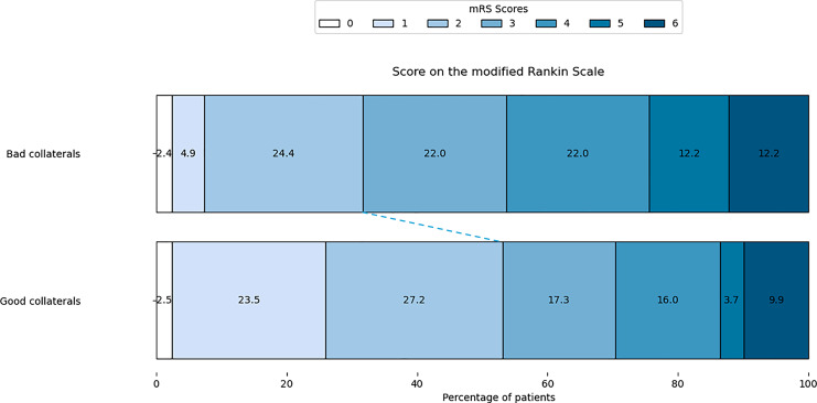 Safety and Efficacy of Thrombectomy in Vietnamese Stroke Patients Selected through Perfusion Imaging with an Onset Time between 6 and 24 Hours.