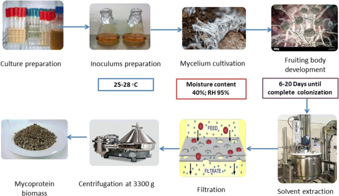 A Review on the Application of Animal-Based Materials Using Three-Dimensional (3D) Printing and Protein Restructuring Technologies.
