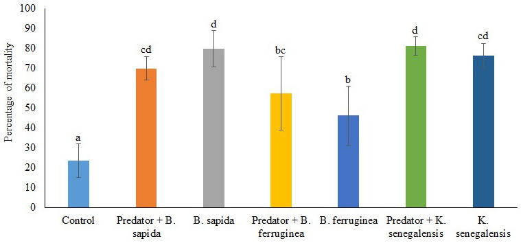 Effect of botanical powders and the assassin bug, <i>Alloeocranum biannulipes</i> Mont. and Sign. (Hemiptera: Reduviidae) against <i>Dinoderus porcellus</i> Lesne (Coleoptera: Bostrichidae) infesting yam chips.