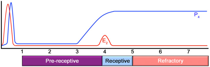 Molecular and cellular regulators of embryo implantation and their application in improving the implantation potential of IVF-derived blastocysts.