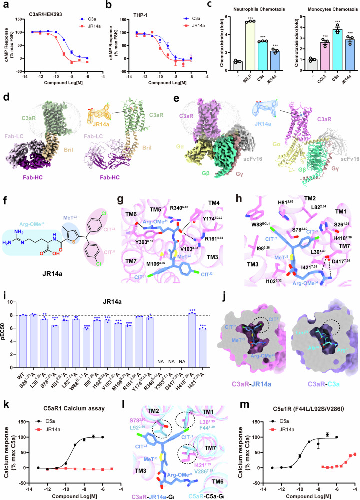 Structural insights into the agonist activity of the nonpeptide modulator JR14a on C3aR.