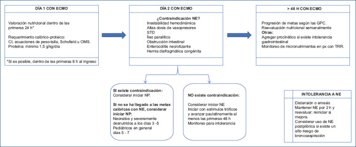 Nutritional support in pediatric patients with extracorporeal membrane oxygenation: new insights.