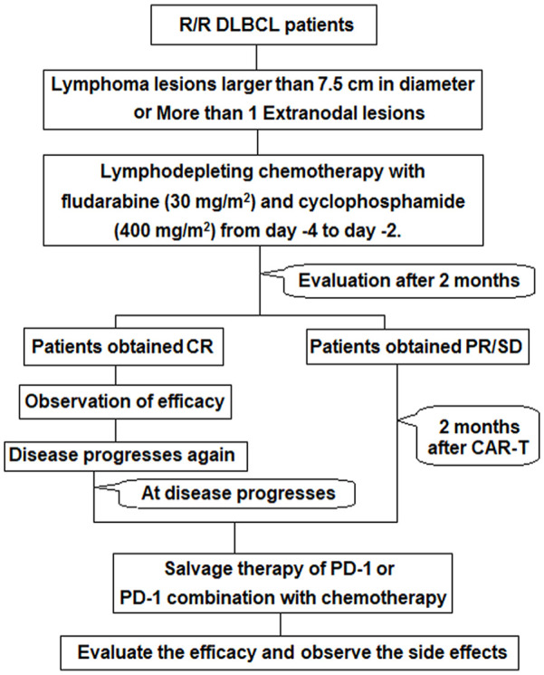 An exploration of the initiation time and patient selection of PD-1 inhibitors/PD-1 inhibitors combined with chemotherapy as salvage therapy in R/R DLBCL patients after anti-CD19-CAR T-cell therapy.