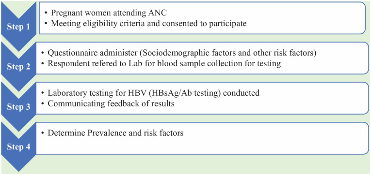 Factors associated with hepatitis B virus infection among pregnant women attending antenatal clinic in Western Area Urban District, Sierra Leone.
