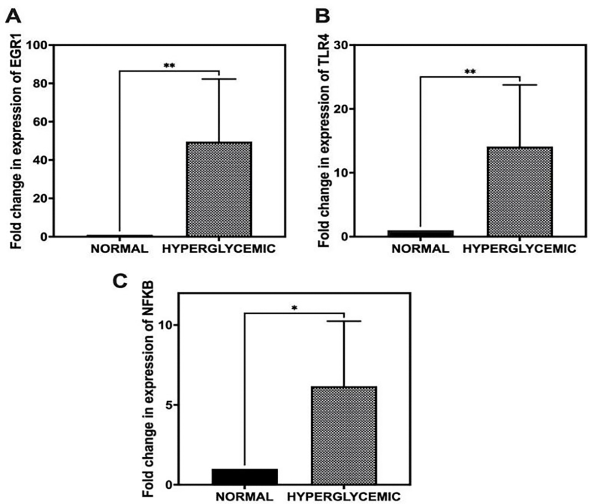 Modulation of EGR1 Expression by Hyperglycemia in Swine Rotator Cuff Tendons.