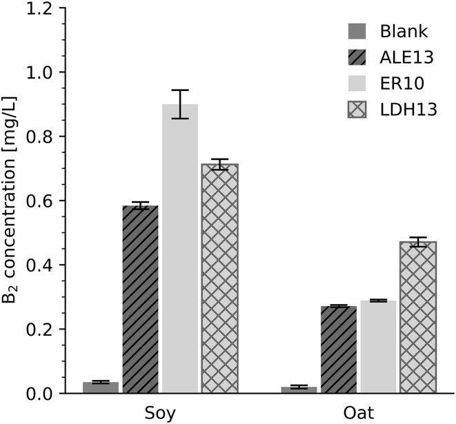 Golden oats - Natural fortification of oat milk with riboflavin through fermentation.