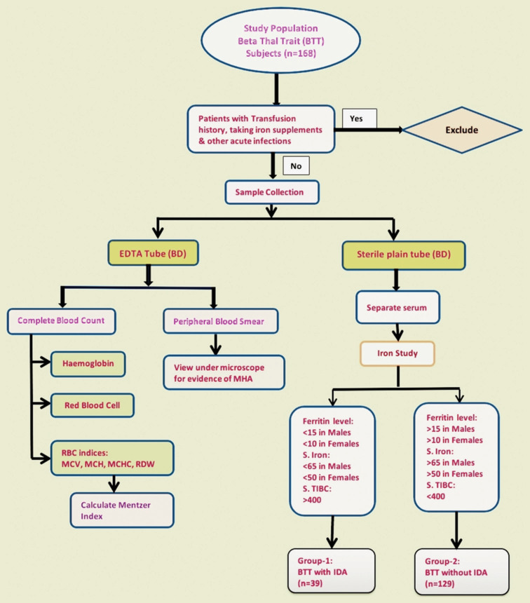 Prevalence and assessment of the impact of iron-deficiency anemia in beta-thalassemia trait subjects: A study from a tertiary care center of Western India.