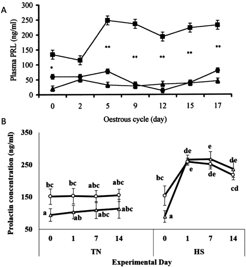 Prolactin and heat stress; focus on domestic ruminants.