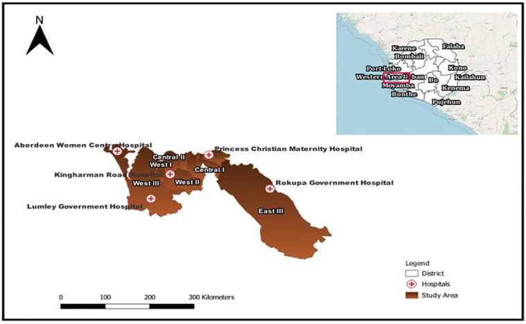 Factors associated with hepatitis B virus infection among pregnant women attending antenatal clinic in Western Area Urban District, Sierra Leone.