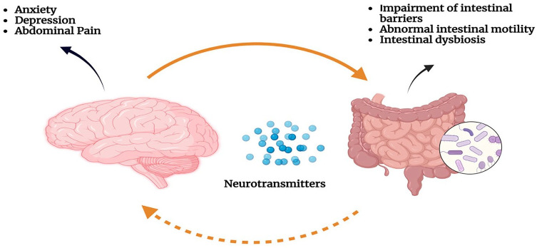 Repercussions of gastrointestinal microbiota in postmenopausal osteoporosis.