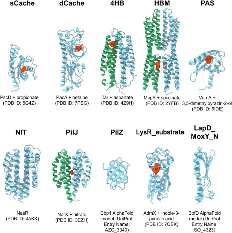 Thermal shift assay to identify ligands for bacterial sensor proteins.