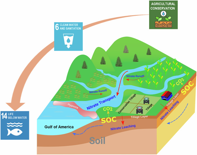 From basin to gulf: Conservation tillage improves soil health but exacerbates hypoxia.