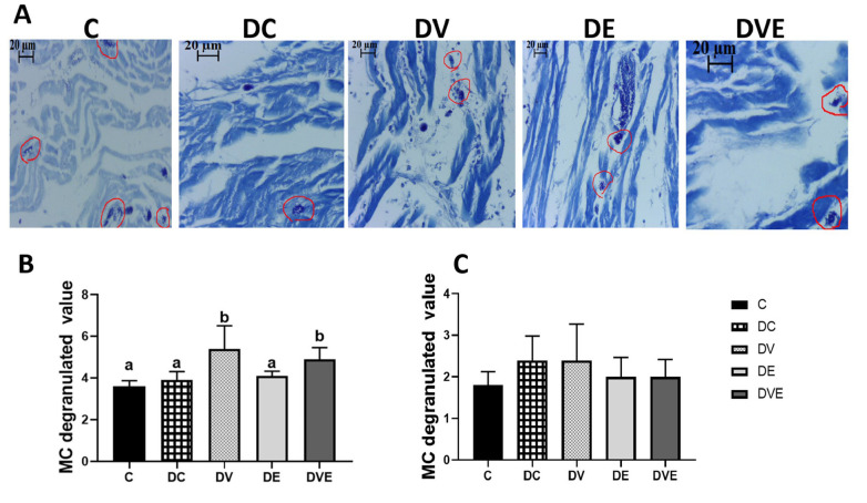 The mechanism of vascular adhesion molecule-1 in an ischemia-reperfusion cardia model.