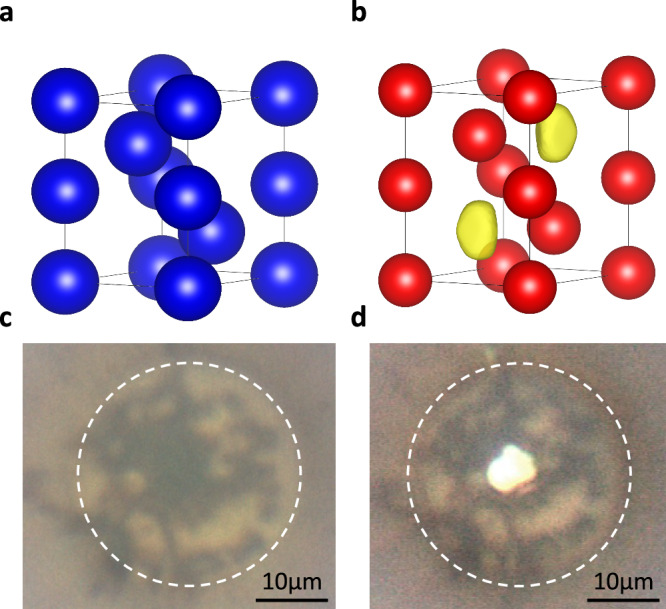 Experimental signatures of interstitial electron density in transparent dense sodium.