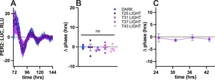 Light does not phase shift the circadian clock of subcutaneous adipose tissue in vitro.