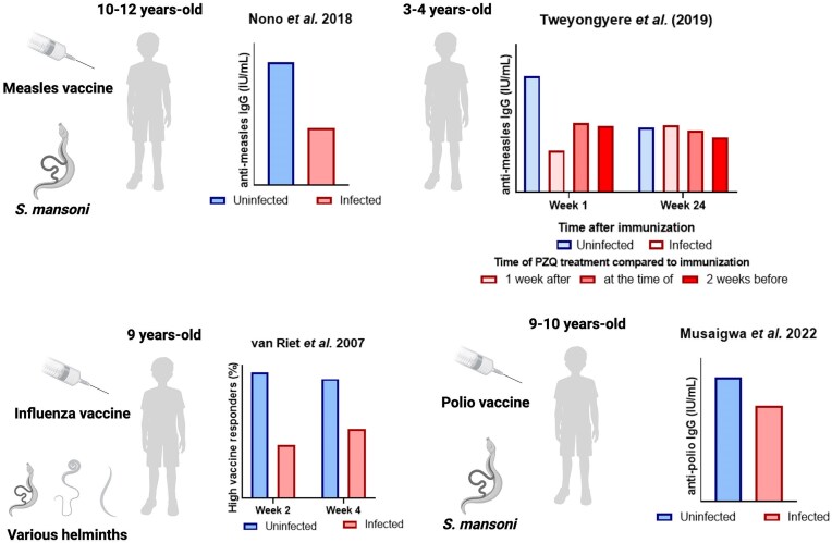 Helminth infections affect host immune responses to viral infections and vaccines.
